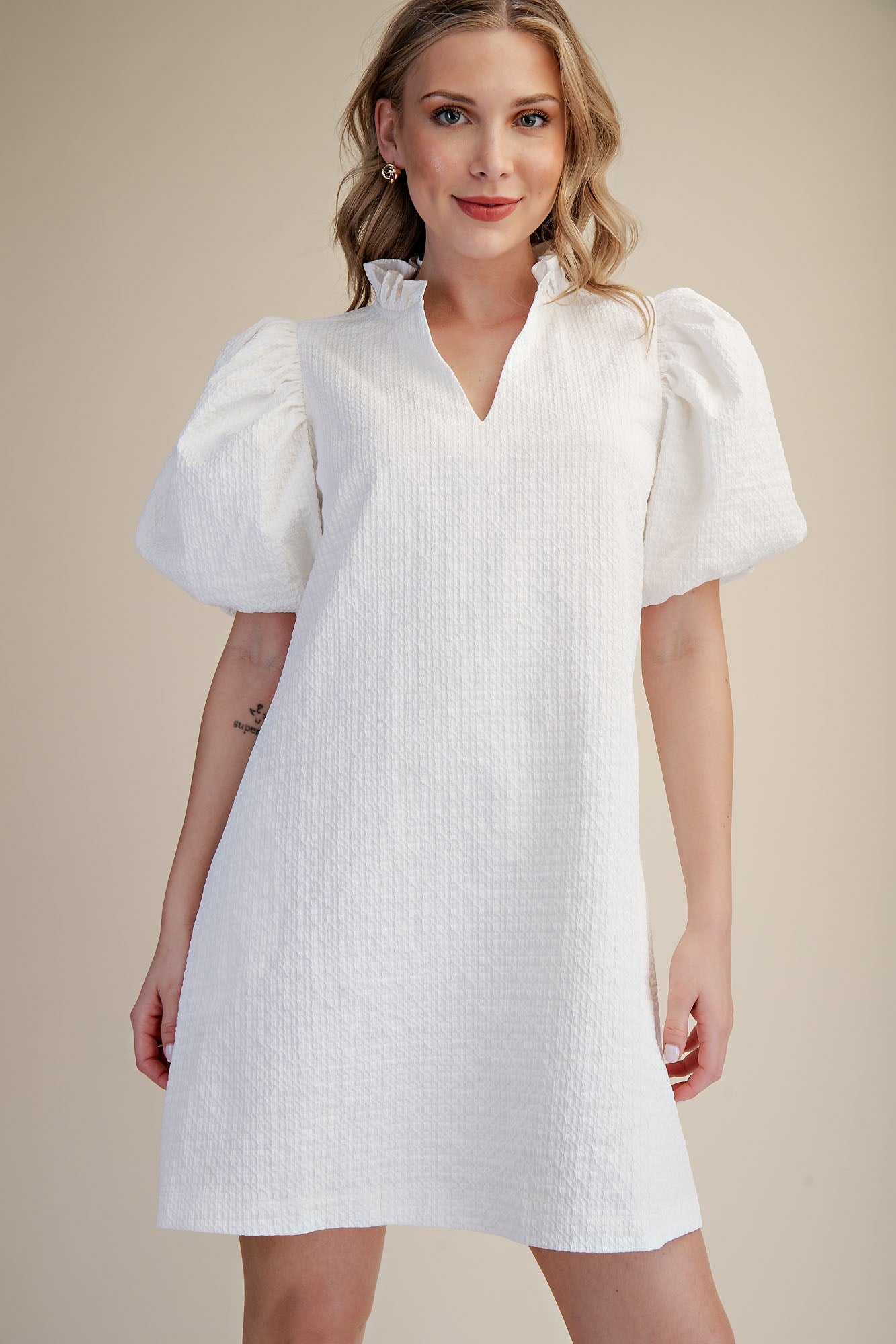 Textured Ruffle Sleeve Mini Dress