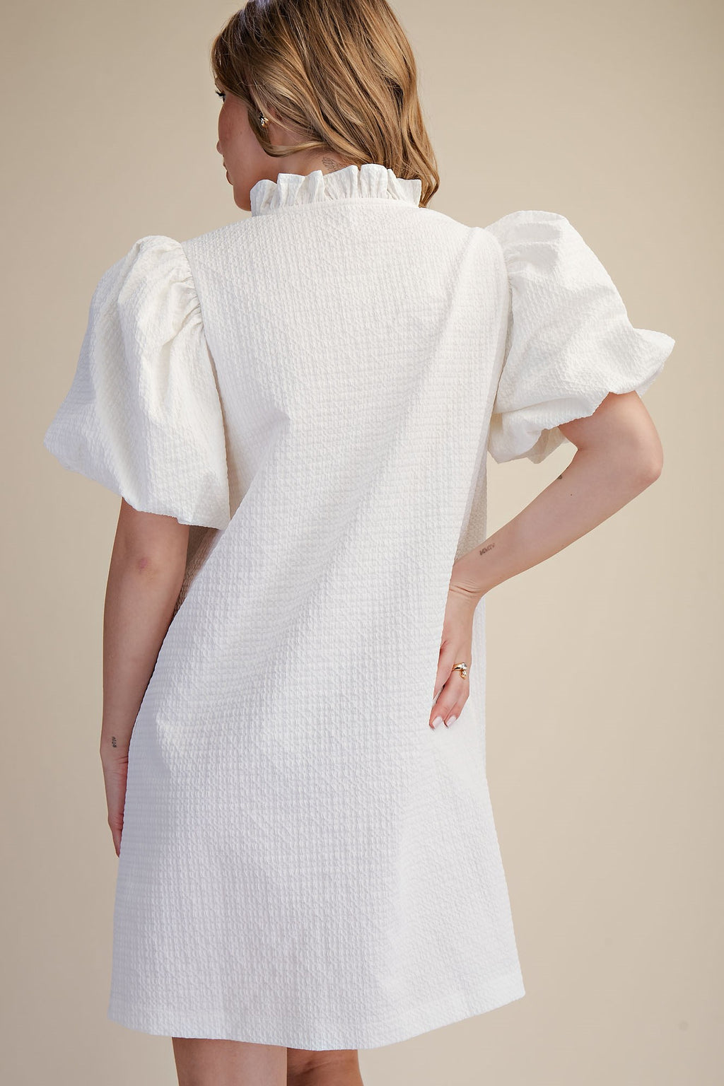 Textured Ruffle Sleeve Mini Dress