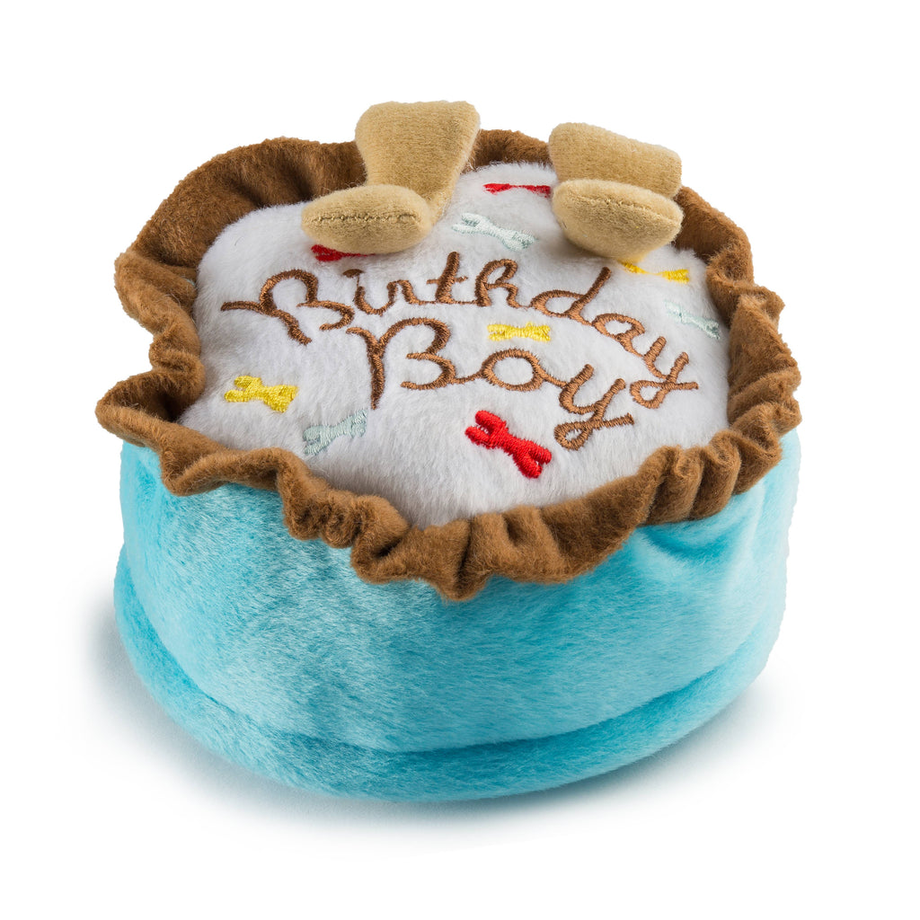 Birthday Boy  | Squeaker Dog Toy