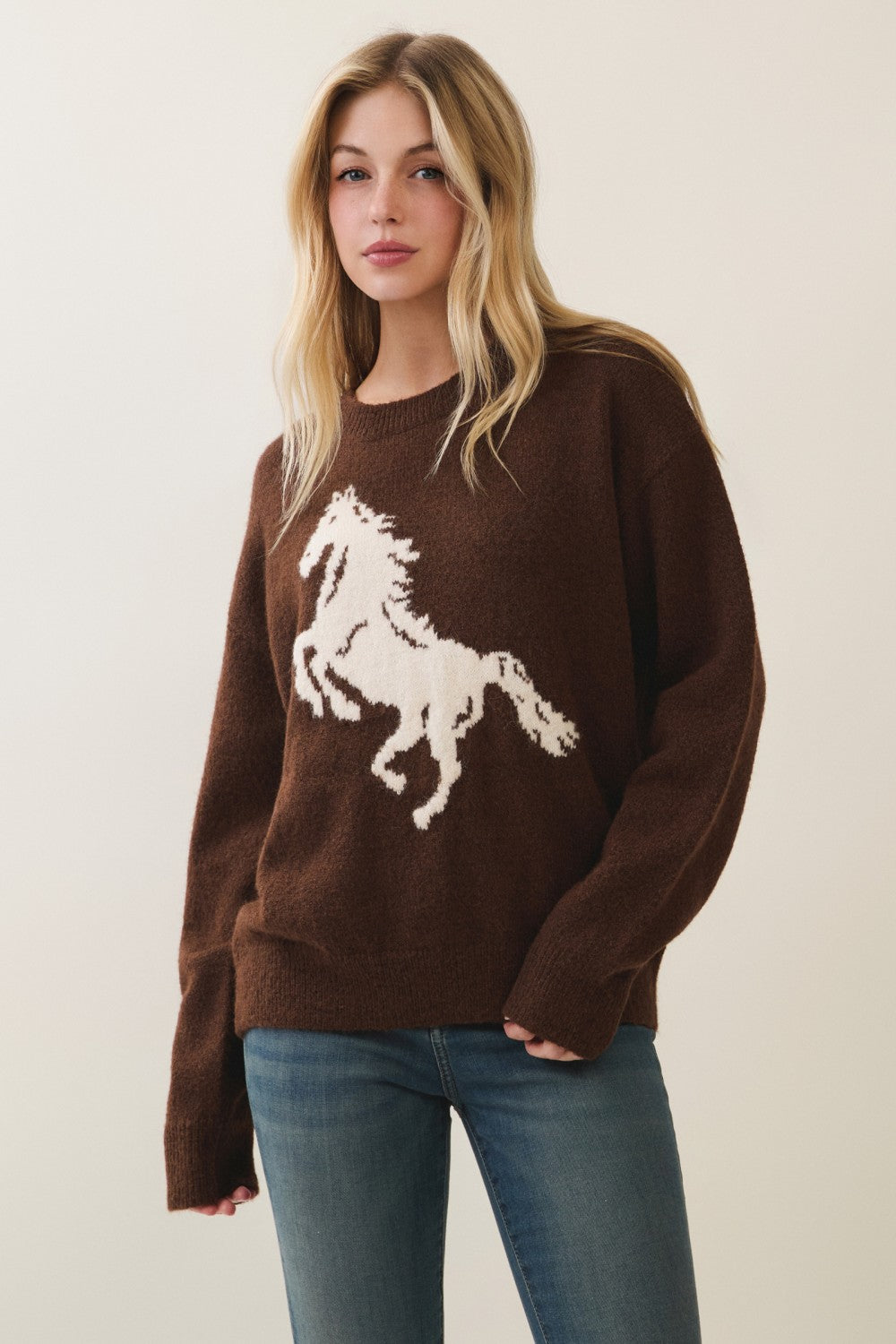Wild Spirit Horse Sweater Brown