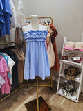 Picnic Perfect Gingham Mini Dress Blue