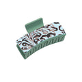 Western Spirit Hair Clip