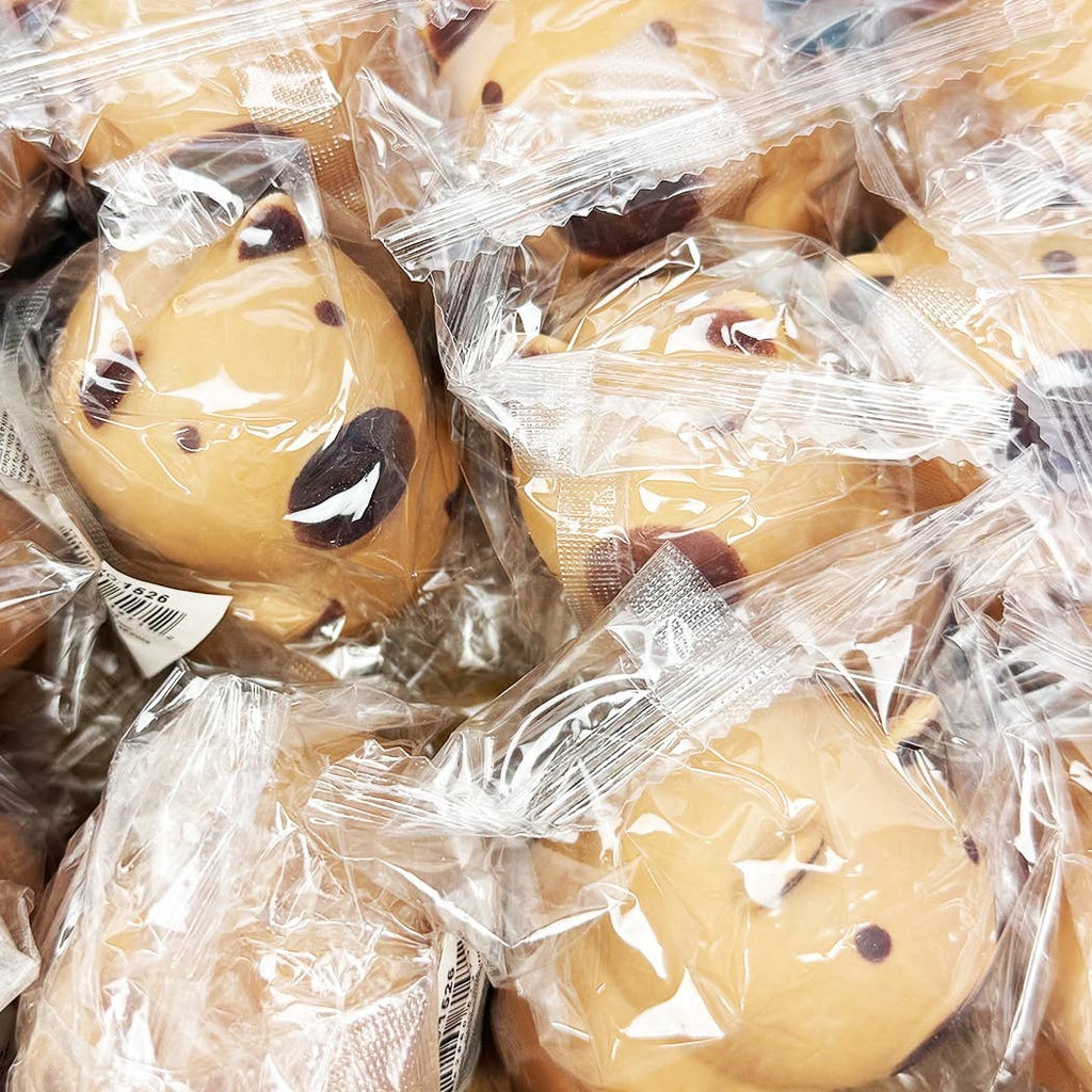 Cute Capybara Squishy